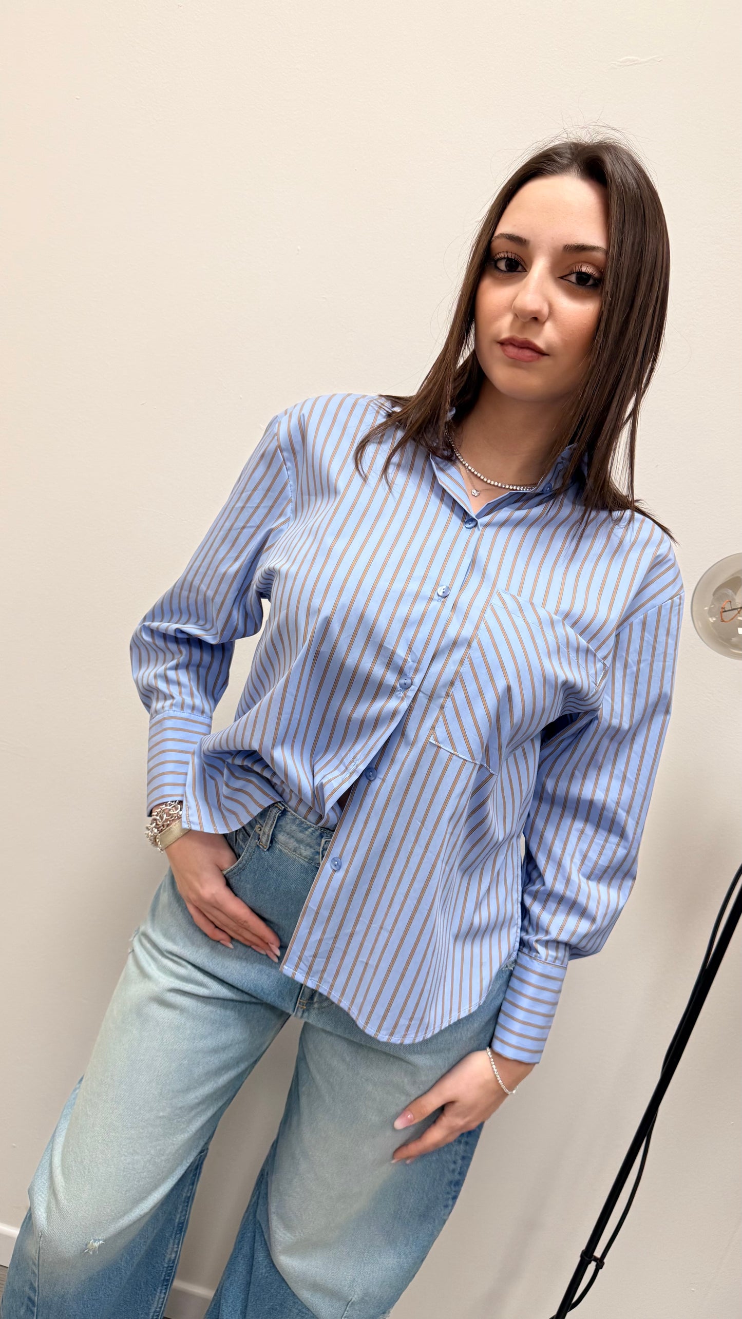 Camicia Righe azzurro e tortora Haveone